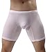 WINDAY Men's Briefs Breathable Ice Silk Sports-Inspired Underwear Boxer Briefs