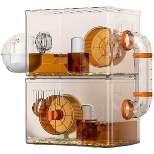 Kwueiit nX^[  f w AN ^[ |[^u ^[ATCg񂵎ԁAS[fxAA Iȃp[eBV ܂܂ȃjo[T  (vE,2w)