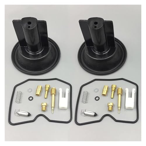 Kit réparation carburateur ZZR250 EX250 pour remise en route après hivernage