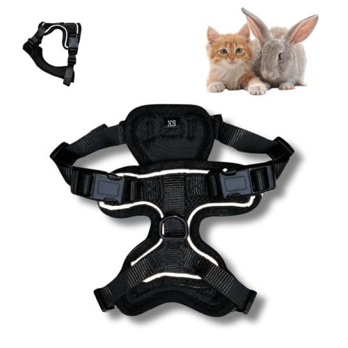 Harnais et Laisse pour Chat ou Lapin, Guide première Sortir inclu｜Accessoire réglable réfléchissant avec Longe, Attache Anti Fugue, Confort Optimal,...