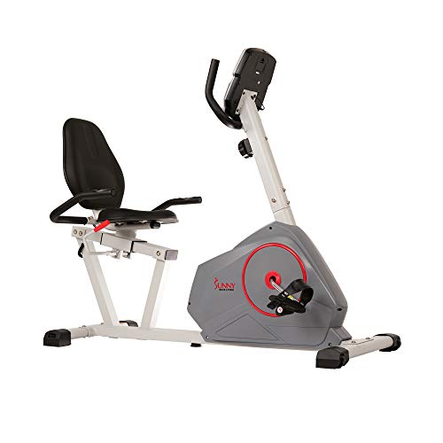 Sunny Health & Fitness Magnetic Recumbent Exercise Bike With Silent Belt Drive, Performance Monitor, Bmi And Body Fat Calculator, 275 Lb Max Weight - Sf-Rb4953,Gray #TOP1