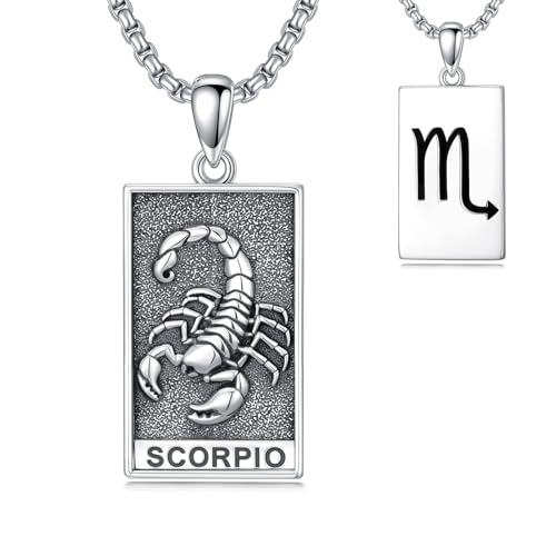 HARMONY BOLA Collier scorpion en argent sterling 925 avec pendentif scorpion astrologie horoscope bijoux pour hommes et femmes cadeaux d'anniversaire