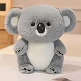 Scope of Application: As a soothing companion, this koala plush is an ideal comfort toy that brings warmth and reassurance when facing life's difficulties