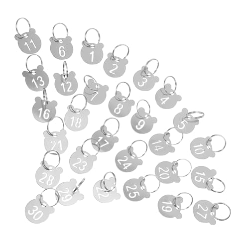 Alipis - Alipis 30 Pièces modèles de gravure pochoirs d'artisanat de numéros Étiquettes en acier inoxydable étiquettes clés Keychains en acier inoxydable Tags numérotés plaque numero de rue Silver