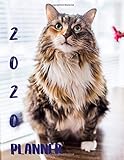 Planner 2020: 365 Days Daily Weekly & Monthly Personal Appointment at a Glance Calendar Planner Spread Views 12 Months to Do List | Jan 1, 2020 to Dec 31,  2020 Design Maine Coon Cats Lover Cover