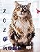 Planner 2020: 365 Days Daily Weekly & Monthly Personal Appointment at a Glance Calendar Planner Spread Views 12 Months to Do List | Jan 1, 2020 to Dec 31,  2020 Design Maine Coon Cats Lover Cover