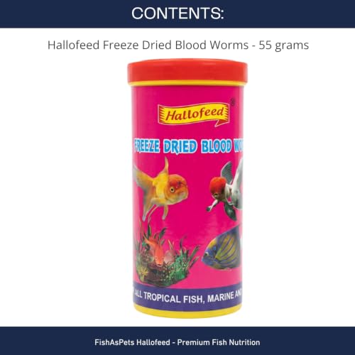 Image of Hallofeed Freeze Dried Blood Worms | Net Weight 55 Grams | 100% Natural Fish Food for Betta, Tetras, Arowana, Flowerhorn, Oscar - Improves Health & Immunity