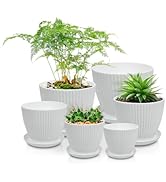 Vodotion Plant Pots with Drainage and Saucers -7.5/6.5/5.5/4.9/4.2/3.5 inches Home Decor Flower P...