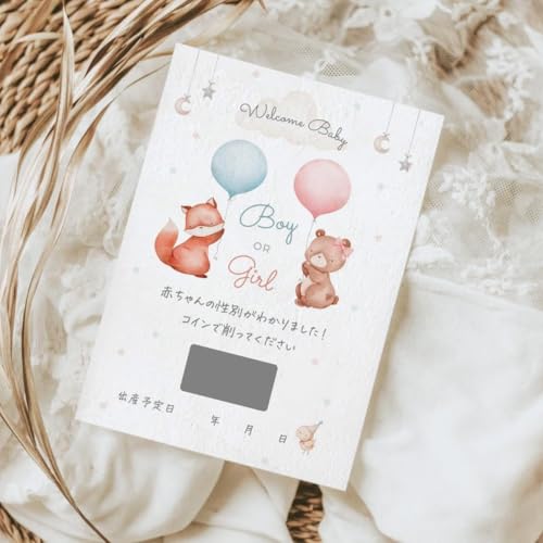 Q!! I WF_[r[J[h Ԃ̐ʔ\ XNb`J[hŃTvCY xr[V[Q[ o[ D|ɂ߁U炩ȂЕtsvI