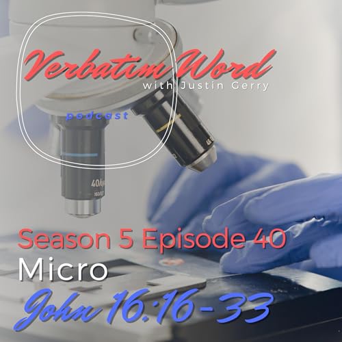 S5E40 John 16:16-33 MICRO