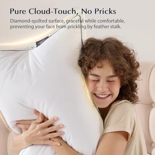 Image of Pacific Coast Premium Goose Feather & Down Bed Pillows Standard Size 1-Pack, Hotel Quality Collection, Medium-Firm Pillow for Side & Back Sleepers