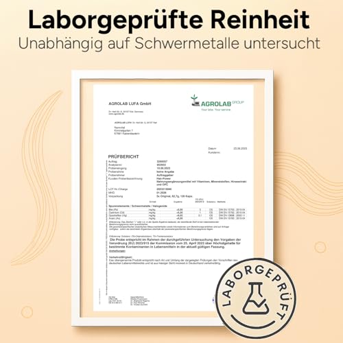 Haar Vitamine Haarausfall - 120 Kapseln I Hochdosiert mit Biotin, Zink, Selen, OPC, Hirse-Extrakt (reich an Silizium und Kieselerde) ohne chemische Haarwuchsmittel I Haarvitamine für Haar- & Bartwuchs