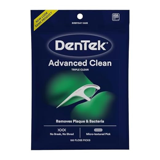 DenTek Floss Picks, Fresh Mint - 150 Count (Pack of 1)