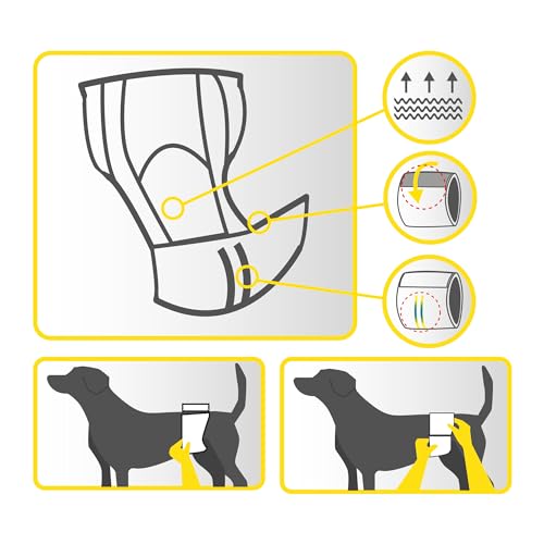 Croci Hundewindel - Hundewindeln - Hundeunterhosen zum Pinkeln - Hygiene-Windel für Rüden, geruchshemmend, Einweg, 12 Stück, Größe XL, 60-85 cm