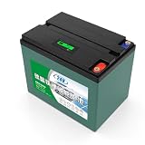 HJGHY ,24v 25ah, Batteria Ricaricabile LiFePO4 da 12V 30Ah 50Ah 60Ah, Batteria al Litio Ferro fosfato da 24V 18Ah 25Ah con BMS per Camper, Campeggio, Golf Cart, lampioni.