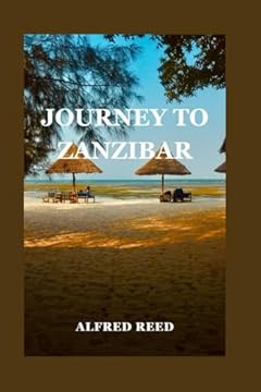 best snorkeling in zanzibar