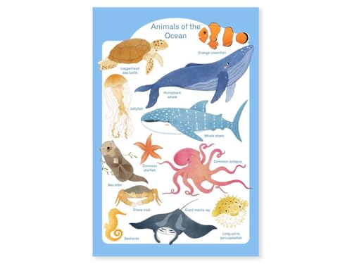 Affiche animaux marins pour chambre bébé : cadre bois 40x60 fabriqué en France