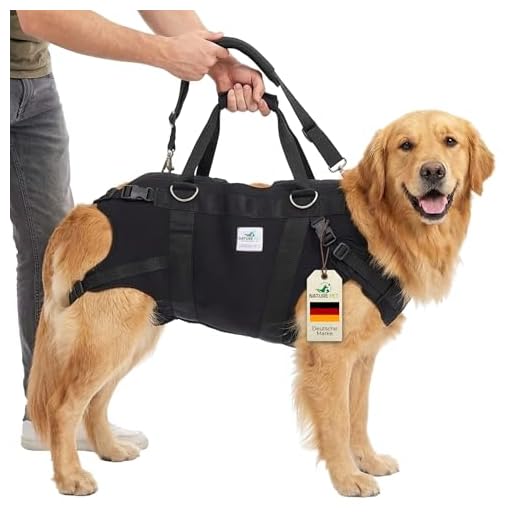 NATURE PET Ganzkörper Tragehilfe Für Hunde/Durchgehende Tragehilfe/Durchgehende Hebehilfe für Hunde (S, Schwarz)