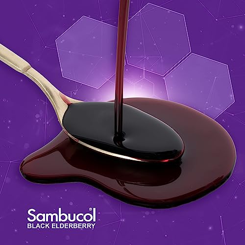 Black Elderberry Syrup - Sugar Free - 4 oz by Sambucol