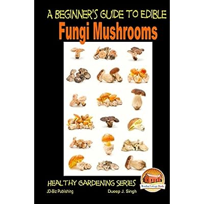 A Beginner's Guide to Edible Fungi Mushrooms