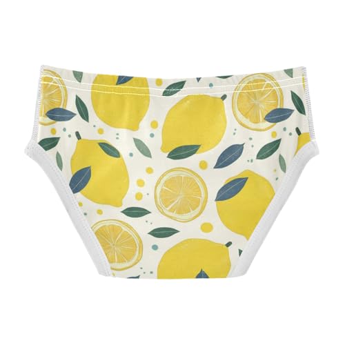 Wusikd Lemon Slices Boys' Underwear Cotton Yellow Boys Briefs Soft Toddler Underwear 2T2