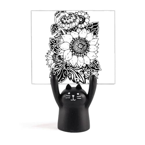 q}̍Ɣ̉Ԃ̐A J[gD[LX^h^z_[