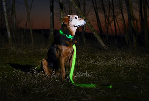 ILLUMISEEN LED Light Up Dog Leash | Ultra High Visibility Up to 350 Yards | 3 Lighting Modes | USB Rechargeable, No Batteries Needed | Padded Handle & Rotating Swivel Clasp to Prevent Leash Tangling