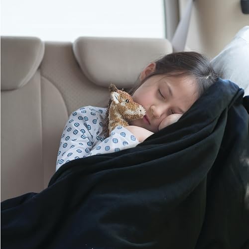 Image of Performance Tool W6049 12v Heated Travel Blanket - Stay Warm on Road Trips, Camping, and Outdoor Activities with Soft and Cozy Fleece Material