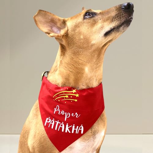 Image of Quirky Dog Bandana: Proper Patakha Bandana for Pets | Easy to Wear Slip On Dog Bandana