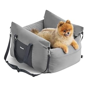 Lesure Dog Car Seat for Medium Dog – Waterproof Dog Booster Seat for Car with Storage Pockets, Clip-On Safety Leash and Memory Foam Filling, Small Pets Travel Carrier Bed, 58x56x33cm, Grey