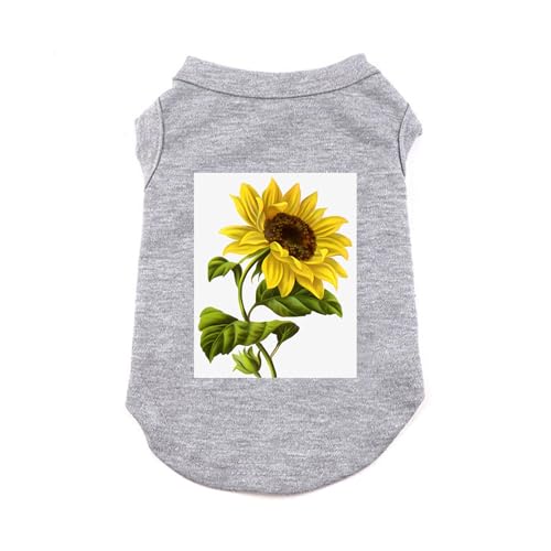 [XANPYO] ybg L   킢 hbOEFA xXg Eѕی O[ ƒ ^ t   Vc ĕ  _炩 Eѕی h p  lGʗp y EȒP 5XL o|