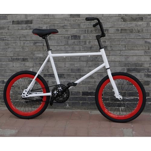 GrdMis ���]��20�C���`�y�� �}�E���e�� �o�C�N ���o�[�X �����^�� �T�h�����������\�A�ω׏d120kg �B�X�N�u���[�L�A�u���[�L���x �h���^�C�� ���Y�f�|�t���[�� �A�b�v�O���[�h�\�ȃ\���b�h�^�C���A���a�Ԓj�����p ��l �q���p �ʋ� �ʊw �X��