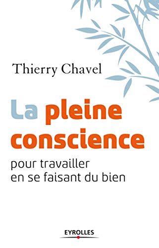 Télécharger La pleine conscience pour travailler en se faisant du bien Francais PDF
