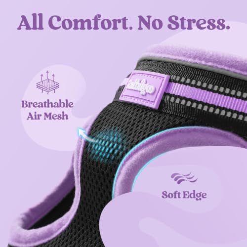 Image of rabbitgoo Cat Harness and Leash Set, Step-in Soft Vest, Black-Light Purple | Escape Proof, Lightweight, Easy-on & Adjustable, Hook & Loop with Buckle, Reflective, for Kittens & Small Cats Walks, S