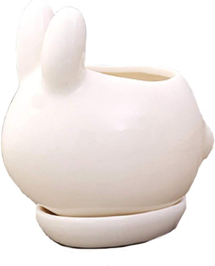Kawaii Bunny Rabbit White Mini Ceramic Succulent Plant Flower Pot Flowerpot Planter with Tray Saucer (A)