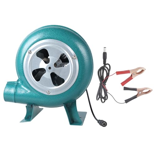 RGYBAO Soplador de hierro para el hogar, ventilador centrífugo pequeño, 30 W, 40 W, 60 W, 80 W, 5,5 x 2,1 mm, adaptador para barbacoa