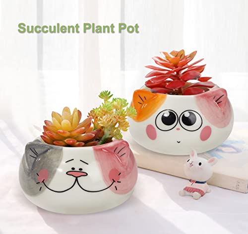 Kinforse Scented Candles Gifts for Women, Birthday Gifts for her, Presents for Women, Cat Gifts for Women, 6 Pack Novelty Gifts Set for Women Birthday Unique…… - Image 6