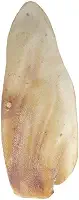 PET TREATS - 1 Petisco Natural Orelha Supremo