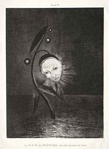 Impression sur toile Hommage à Goya Odilon Redon décoration murale premium