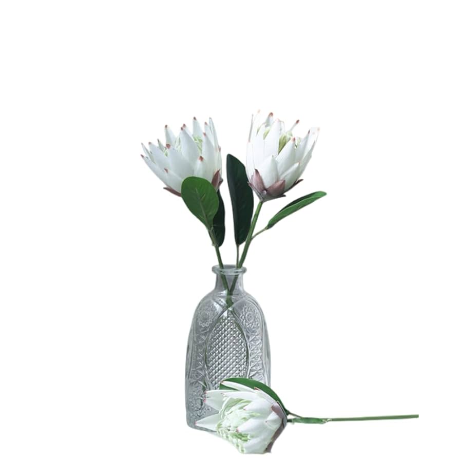 Amazon.com: XIZHI 3 Stem King Protea Artificial Flowers Real
