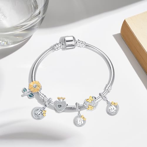 Happy Birthday 16 18 21 40 50 Years of Love Charm Butterfly Bead for European Bracelet3
