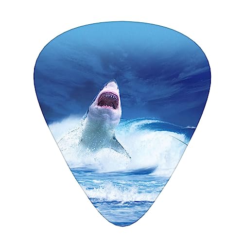 L M^[sbN Guitar Pick 12Zbg eBAhbv^ GLM^[/AR[XeBbNM^[/NVbNM^[/x[X̗KɍœK12Zbg