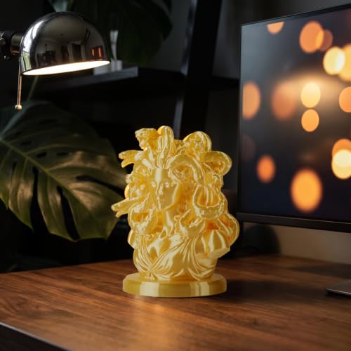 Image of ERYONE Silk PLA Filament for 3D Printer 1.75mm + /- 0.03mm, Shiny Filament 1kg (2.1lbs) /Spool, Yellow