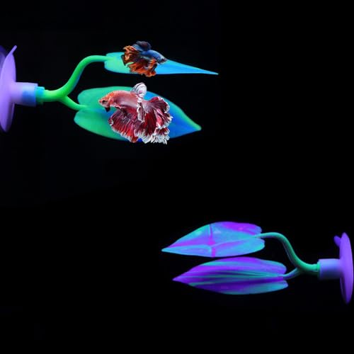 Image of 2PCS Silicone Betta Fish Leaf Hammock, Aquarium Fish Tank Resting Spot Bed for Betta Fish