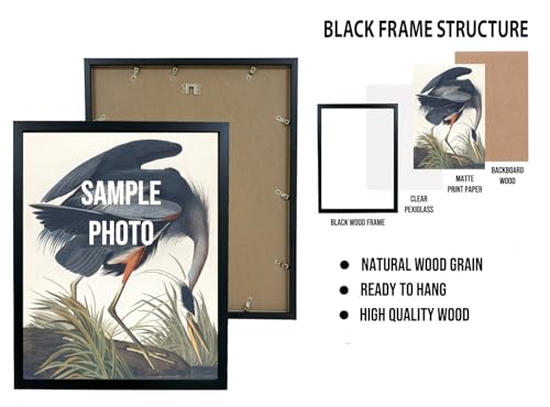 Image of Border Collie Christmas Black Framed Wall Art Print Poster, Dog Pet Lover Picture Painting Artwork Bedroom Living Room Office Dining Room 150D (Border Collie Christmas, 10 inch L x 8 inch W, Black Frame)