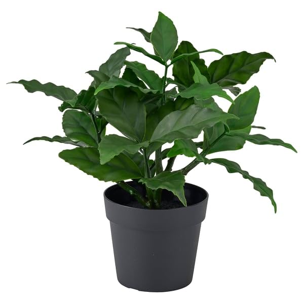 Artificial Sweet Bay Potted Plant 9 cm – Realistic Faux Green Herb Plant for Indoor & Outdoor Home & Office Décor, Mini Decorative Plant in Pot for Tabletop, Shelf, Kitchen & Garden Use