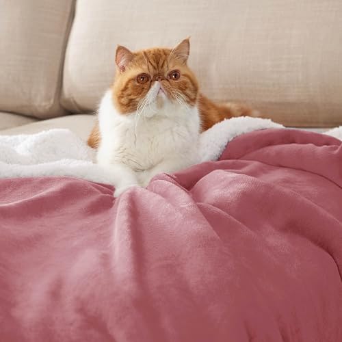 Image of Bedsure GentleSoft Sherpa Fleece Twin Size Blanket for Couch, Non-Heated, Thick and Warm Throw for Girls and Women, Soft Fuzzy Plush Twin Blanket for Winter, Dusty Rose, 60x80 Inches