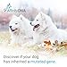 AffinityDNA Dog Pra-prcd DNA Test | Home Sample Collection Kit for 1 Canine | Puppy Progressive Retinal Atrophy Test Kits | Results in 7 Working Days | A Complete Kit with No Extra Fees