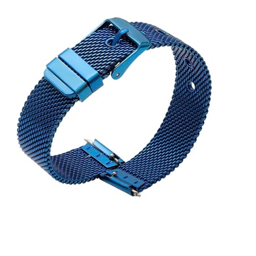 �N�C�b�N�����[�X �~���l�[�[ �E�H�b�`�o���h 10mm 12mm 14mm 16mm 18mm 20mm 22mm �E�H�b�`�X�g���b�v Amaz GTR GTS �V���[�Y Huawei GT2 GT3 �Ή�(Blue,18mm quick release)