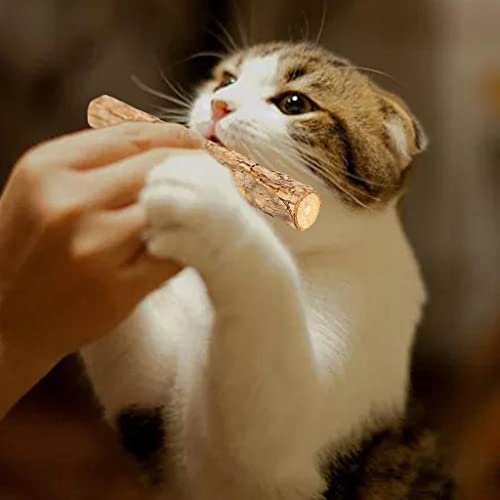 Limpieza de dientes para gatos con varitas de actinidia polygama interactivas 7